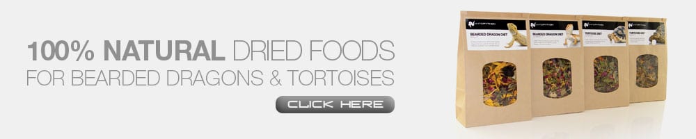 Home-Food-Banner1